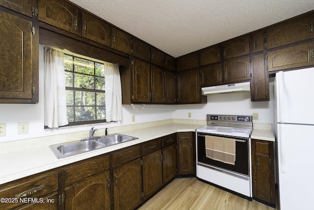 kitchen featuring white appliances, a sink, light countertops, dark brown cabinets, and under cabinet range hood