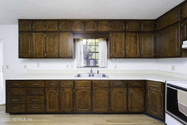 kitchen with a sink, range with electric cooktop, and dark brown cabinetry