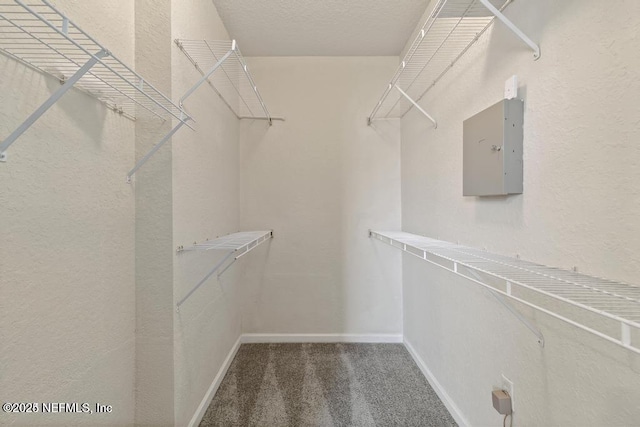 spacious closet featuring electric panel and carpet flooring