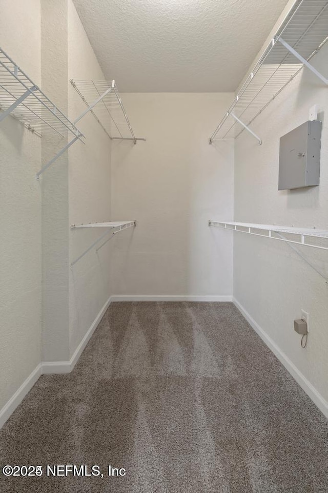 walk in closet with carpet flooring