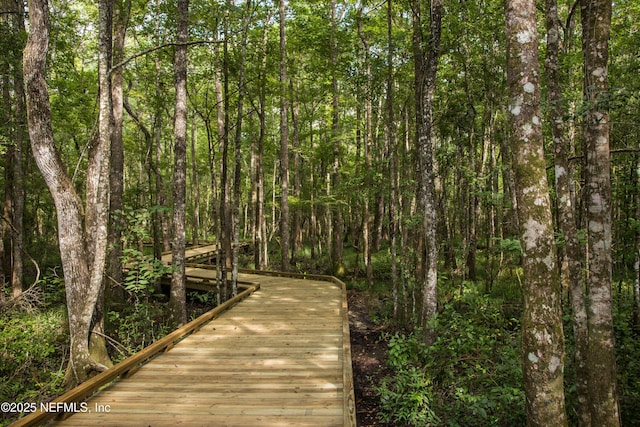 92 Hogan Ct, Saint Augustine, FL 32092 - surrounding community with a wooded view