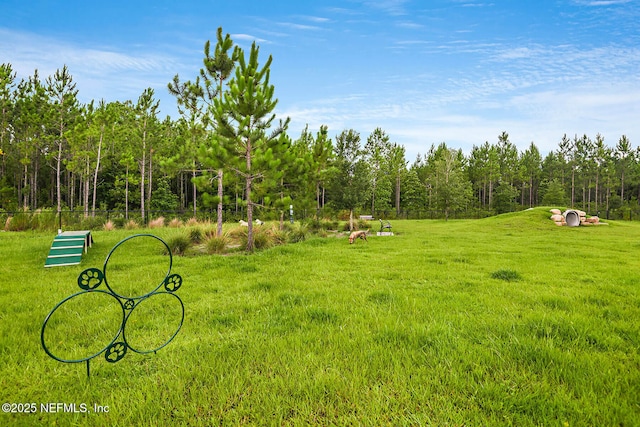 92 Hogan Ct, Saint Augustine, FL 32092 - view of property's community with a wooded view, a lawn, and fence
