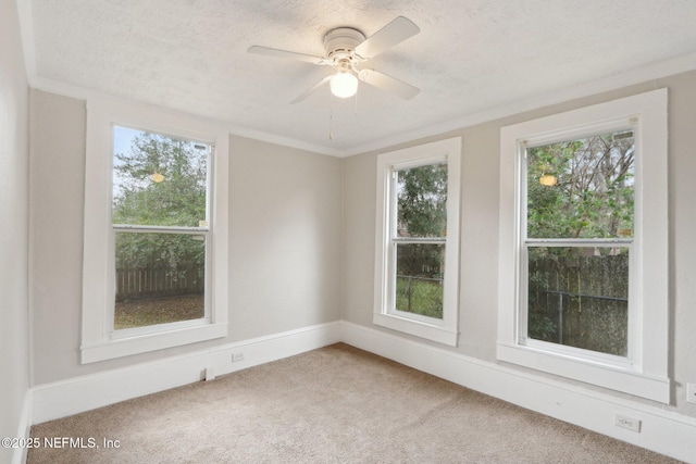 empty room featuring crown molding, a textured ceiling, a ceiling fan, and carpet flooring