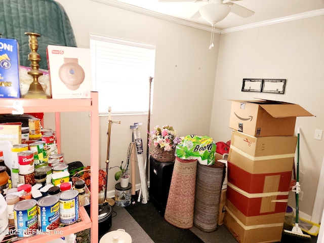 storage featuring a ceiling fan