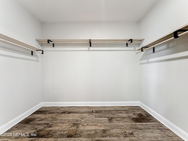 spacious closet featuring dark wood-type flooring