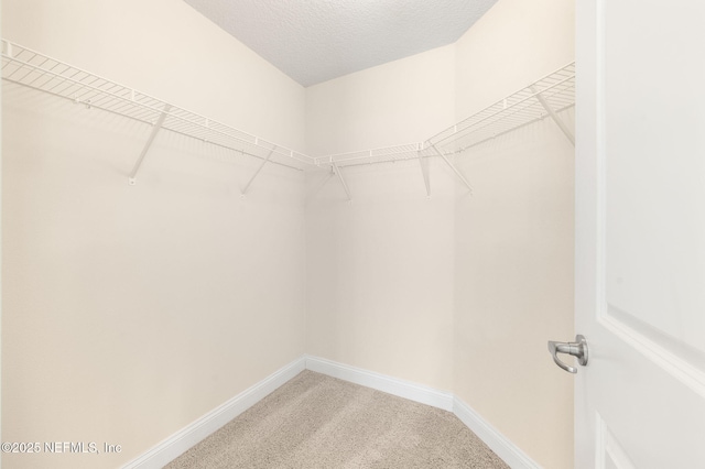 spacious closet with light colored carpet