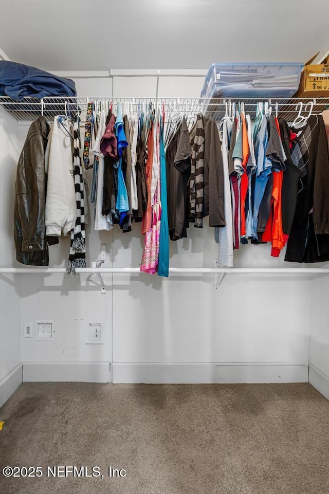 view of spacious closet