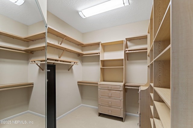spacious closet featuring light colored carpet