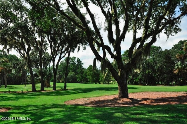 surrounding community featuring a yard