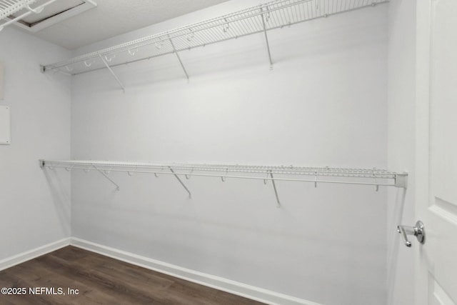 spacious closet with attic access and dark wood-type flooring