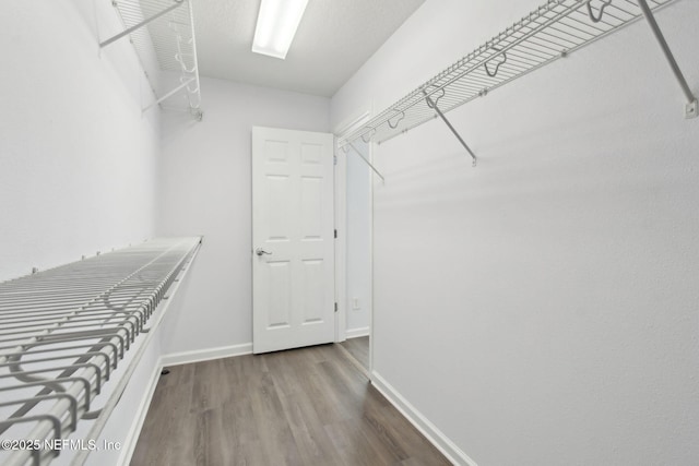 spacious closet featuring wood finished floors