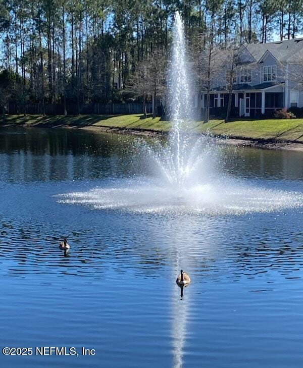 water view