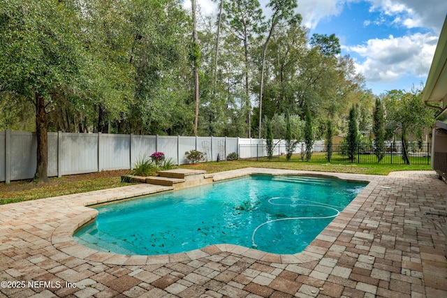 view of pool featuring a patio area, a fenced in pool, and a fenced backyard