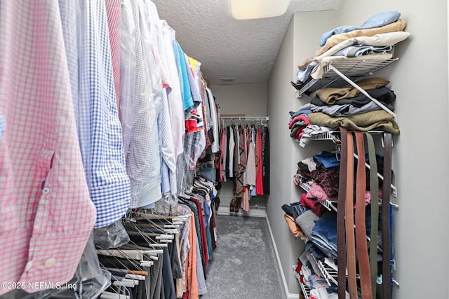 walk in closet with carpet flooring