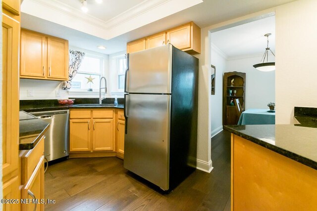 kitchen with stainless steel appliances, a sink, ornamental molding, dark wood-style floors, and a tray ceiling