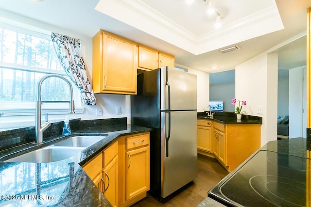 kitchen featuring dark wood finished floors, a raised ceiling, ornamental molding, freestanding refrigerator, and a sink