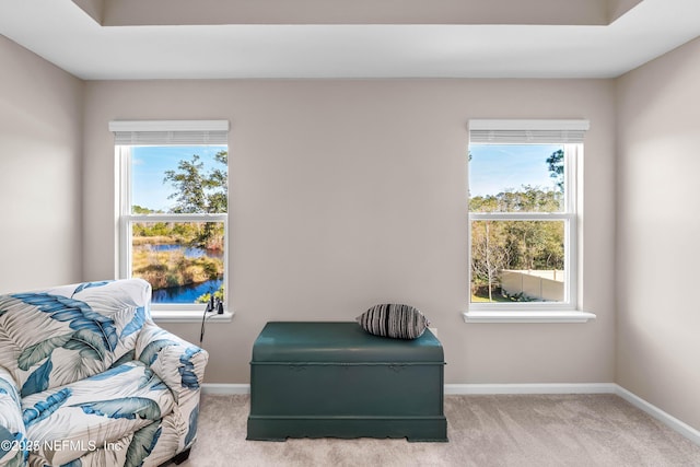 living area featuring carpet floors, a healthy amount of sunlight, and baseboards