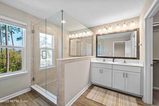 full bathroom with a stall shower, wood tiled floor, a healthy amount of sunlight, and a sink