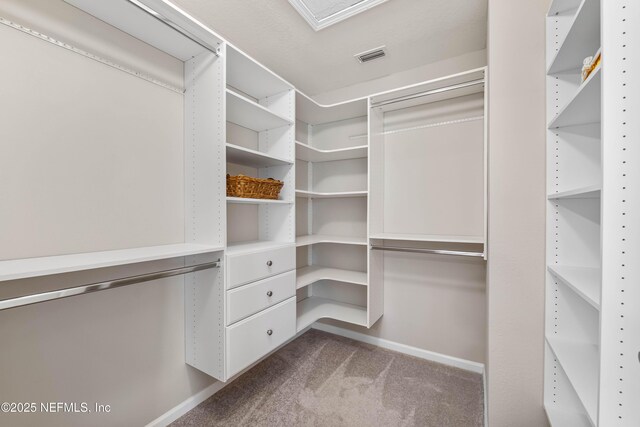 spacious closet with carpet and visible vents