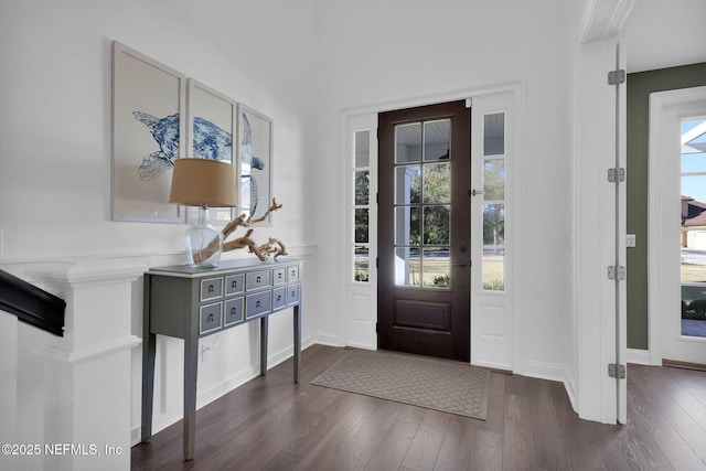 foyer entrance featuring baseboards, plenty of natural light, and dark wood-type flooring