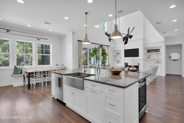 kitchen featuring dark wood finished floors, a wealth of natural light, and a sink