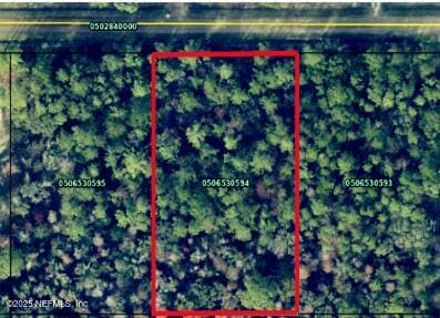 4755 David St, Hastings FL, 32145 land for sale