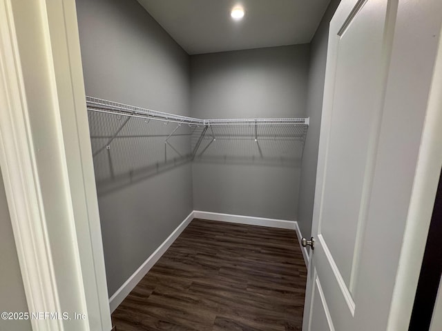 spacious closet with dark wood-style floors