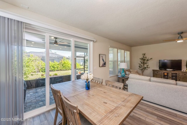 dining space featuring ceiling fan, a textured ceiling, and wood finished floors