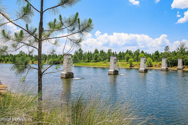 view of water feature