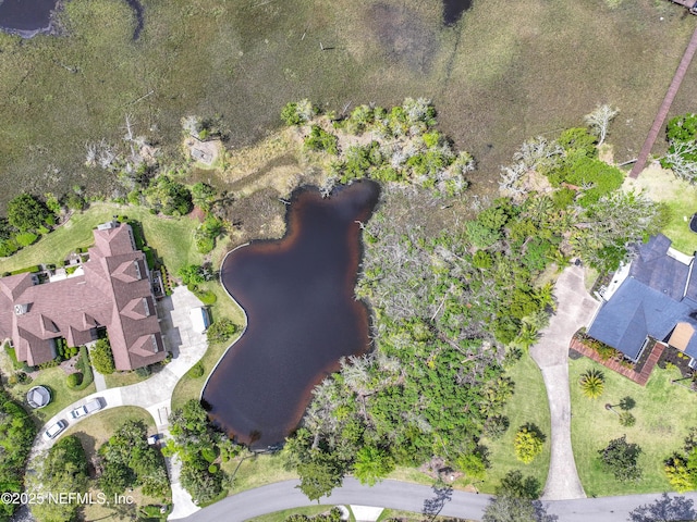 24631 Deer Trace Dr, Ponte Vedra Beach, FL 32082