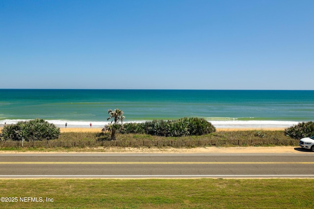 water view featuring a beach view