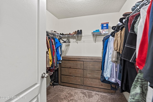 walk in closet featuring carpet floors