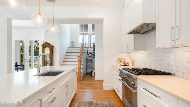 kitchen with backsplash, high end stove, premium range hood, light wood-style floors, and a sink