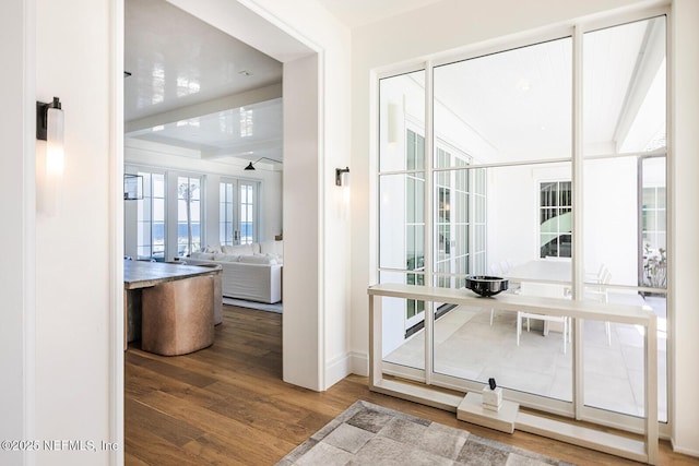 entryway featuring wood finished floors