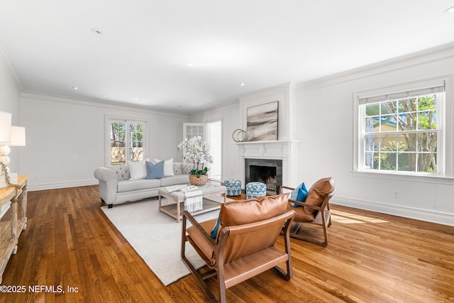 living room featuring ornamental molding, plenty of natural light, and a fireplace