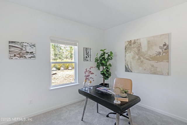 office featuring carpet and baseboards