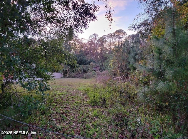 Listing photo 2 for 0 Flynn Rd, Jacksonville FL 32223