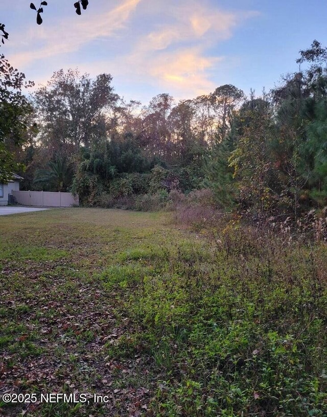 Listing photo 3 for 0 Flynn Rd, Jacksonville FL 32223