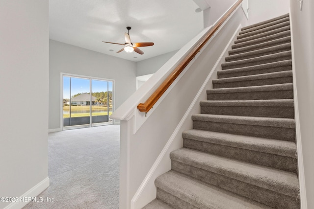 stairs featuring carpet, baseboards, and ceiling fan