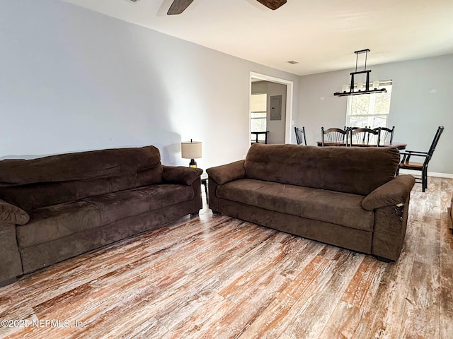 living room with electric panel, wood finished floors, and ceiling fan with notable chandelier