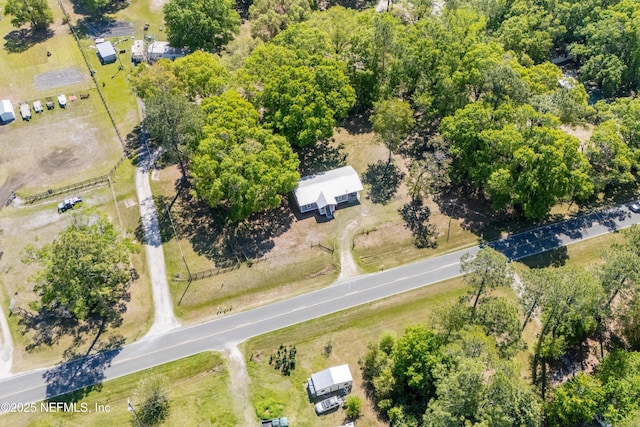drone / aerial view