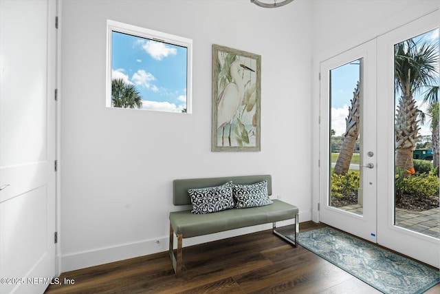 living area with french doors, baseboards, and wood finished floors