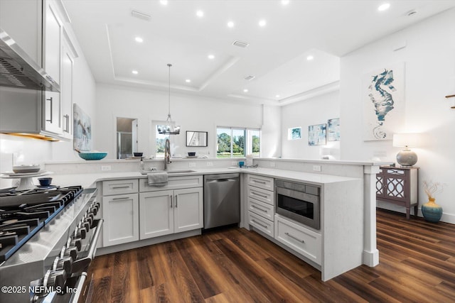 kitchen with a tray ceiling, appliances with stainless steel finishes, a peninsula, dark wood-style floors, and wall chimney exhaust hood