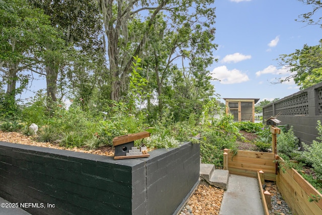 view of yard with a vegetable garden