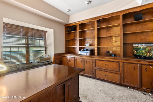 24620 Deer Trace Dr, Ponte Vedra Beach, FL 32082 - unfurnished office featuring light carpet and a wainscoted wall