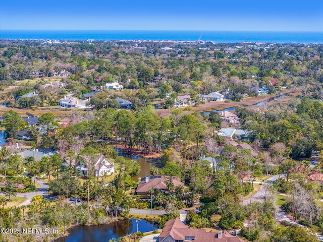 24620 Deer Trace Dr, Ponte Vedra Beach, FL 32082 - drone / aerial view featuring a water view