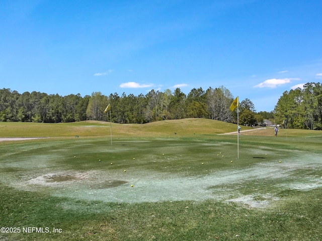 297 S Hampton Club Way, Saint Augustine, FL 32092 - view of home's community featuring view of golf course and a yard