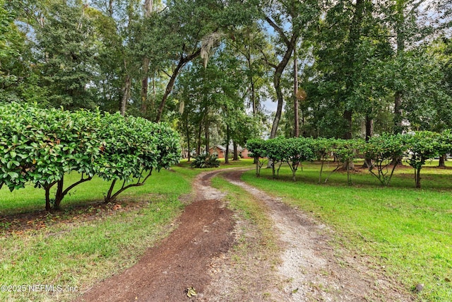 view of street featuring driveway