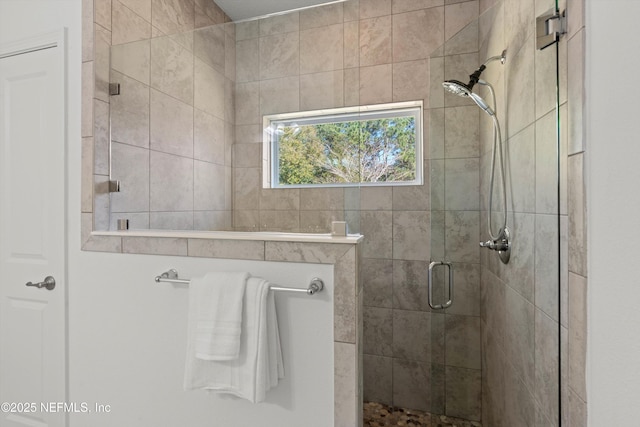 full bath featuring a shower stall