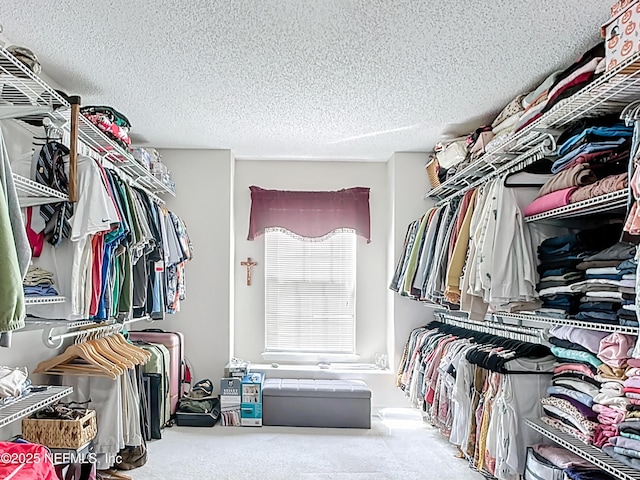 walk in closet featuring carpet flooring